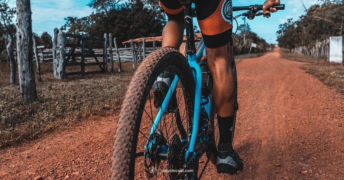 Bicycle Ergometer Guide - BicycleCost