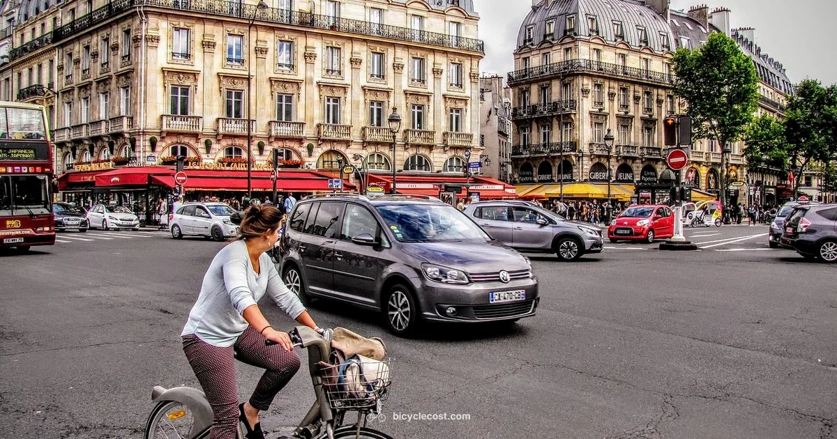 Bicycle History - BicycleCost