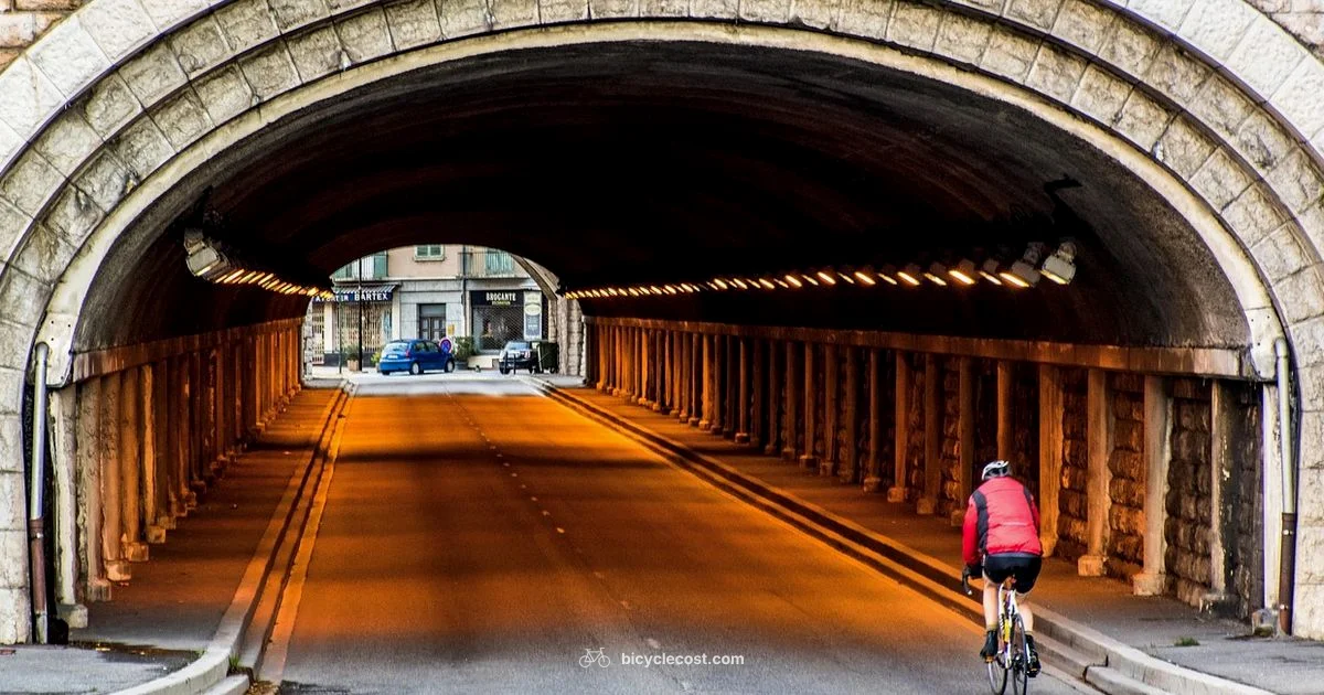 Why Bikes Matter - BicycleCost