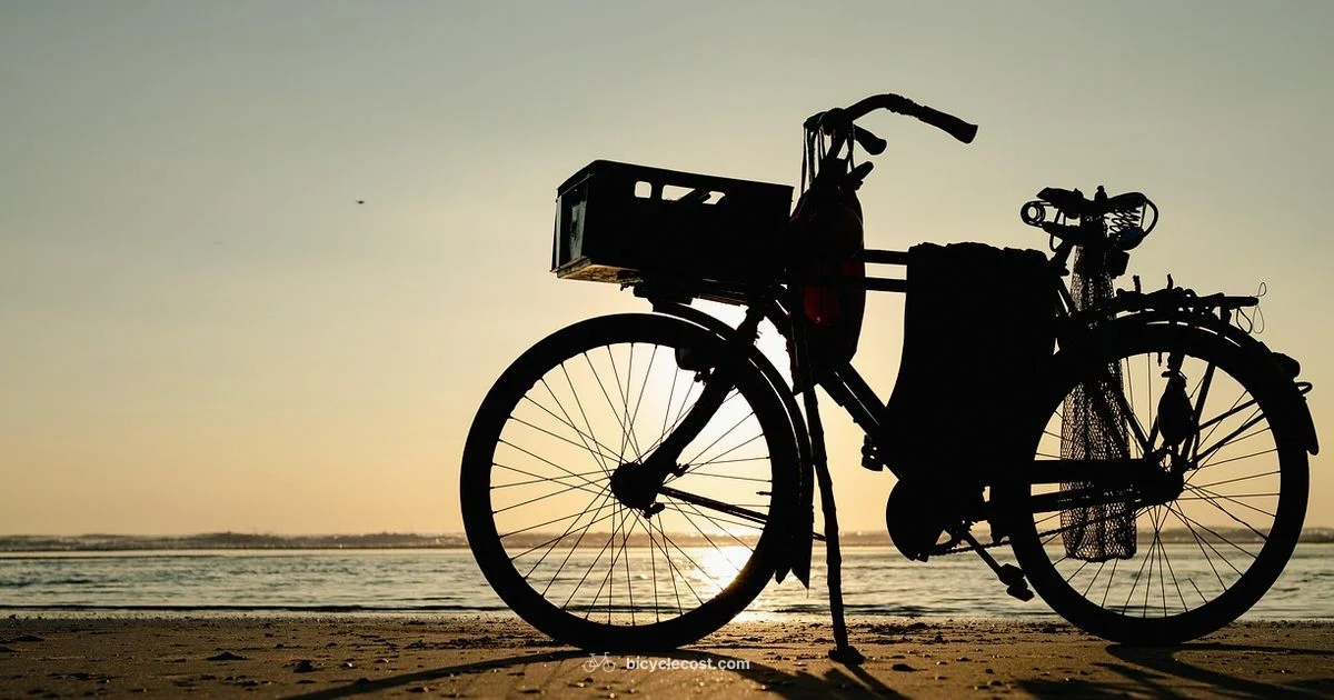 Budget Cruiser Guide - BicycleCost