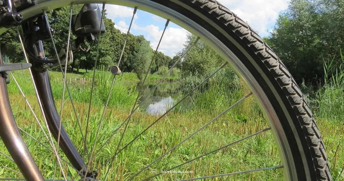 Bike Tubes 101 - BicycleCost