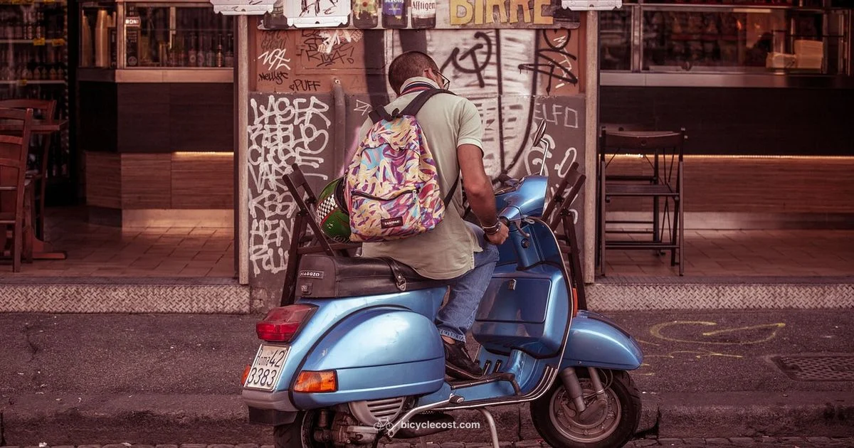 Stingray Bike Guide - BicycleCost