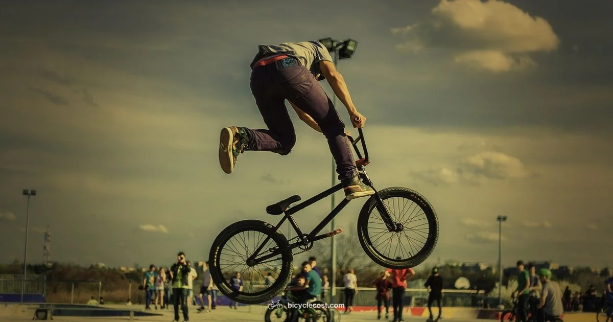 Bike Maintenance Essentials - BicycleCost