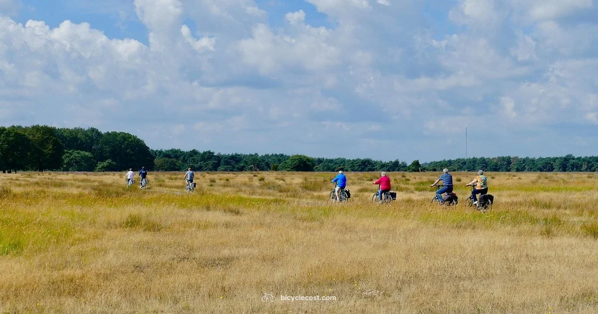 Nearby Bike Shop - BicycleCost
