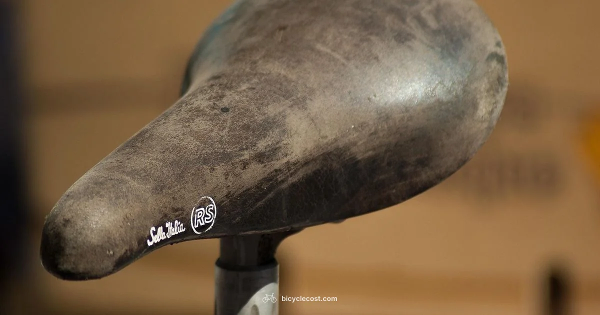 Saddle Height Guide - BicycleCost