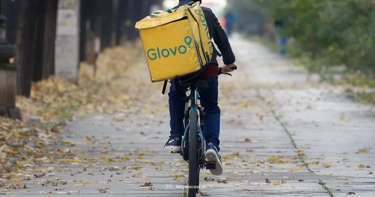 Bike Delivery Guide Bike Delivery Guide - BicycleCost