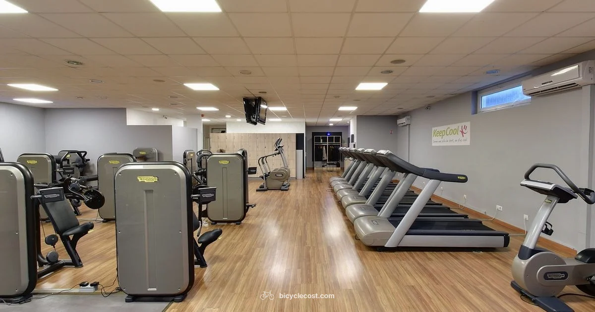 Bike vs Treadmill - BicycleCost