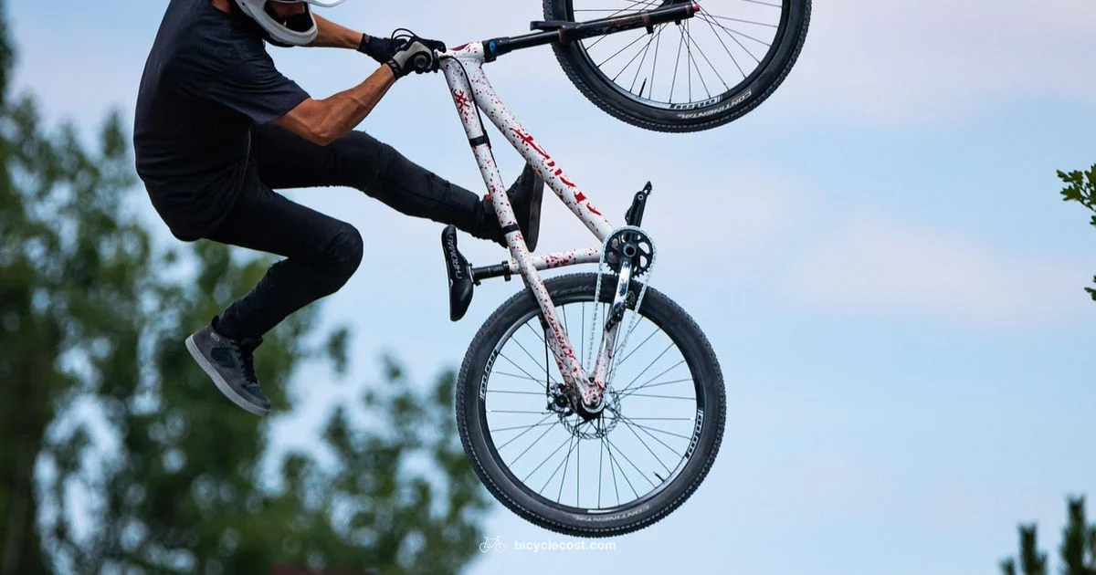 Most Reliable Bicycle - BicycleCost