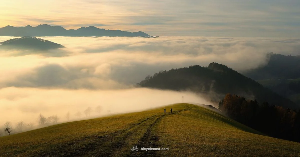 Top Mountain Brands - BicycleCost