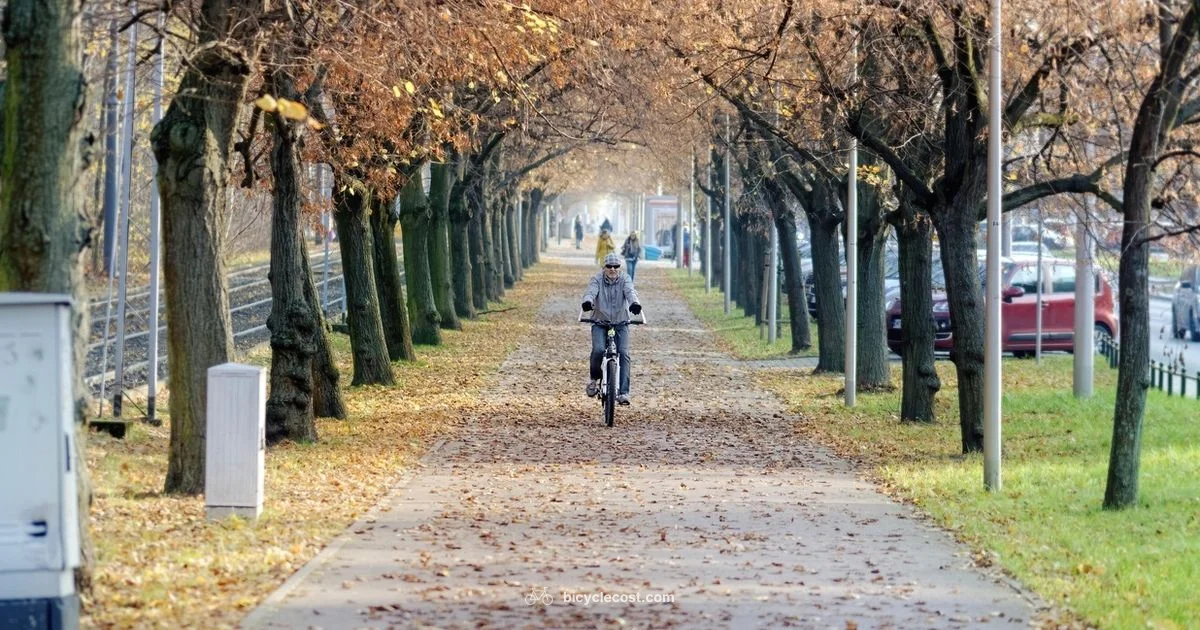 Starter Bike Guide - BicycleCost