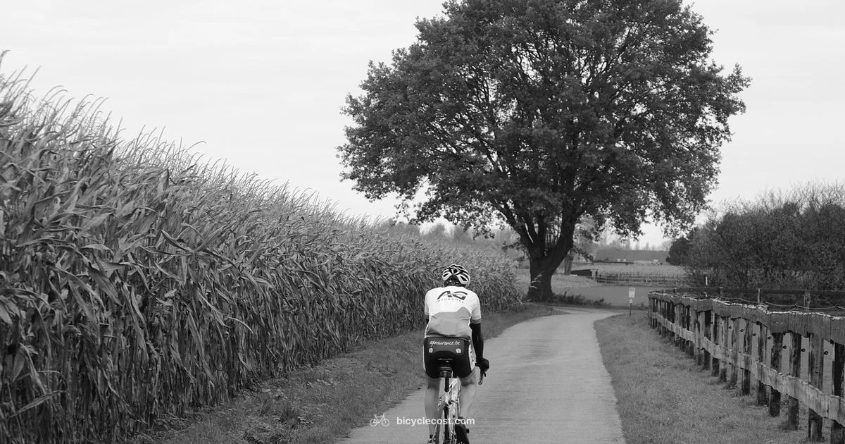 Cycling Apparel Essentials - BicycleCost