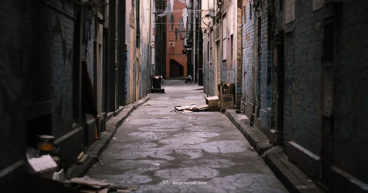 Motorized Bicycle Guide - BicycleCost