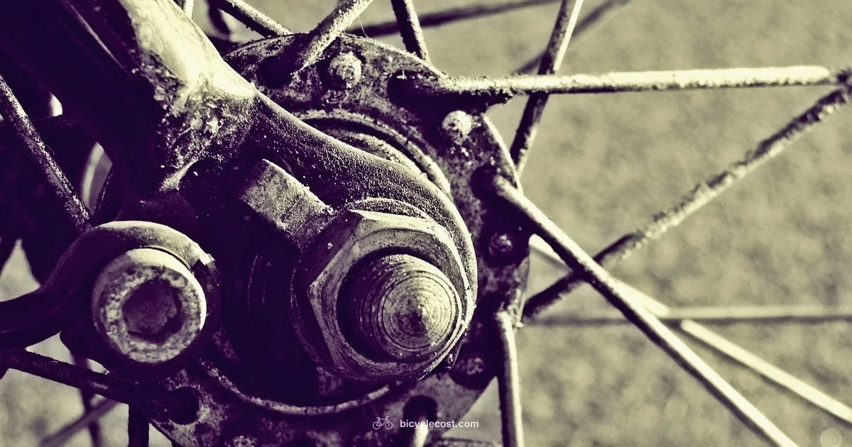 Spoke Repair Guide - BicycleCost