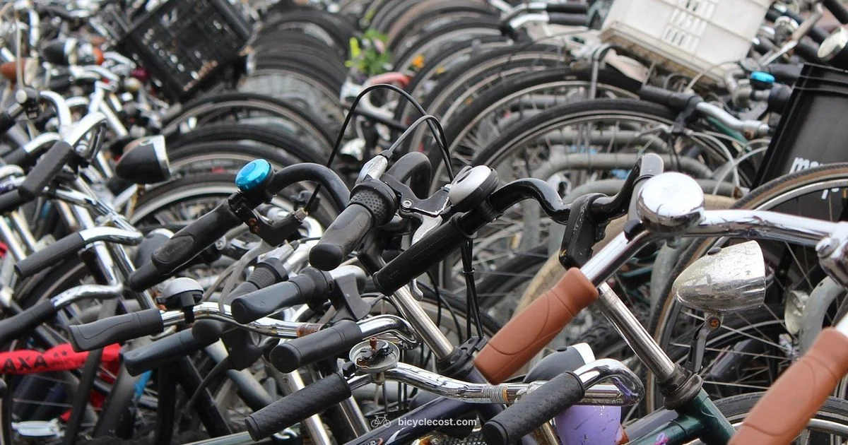 Framed Bikes Guide - BicycleCost