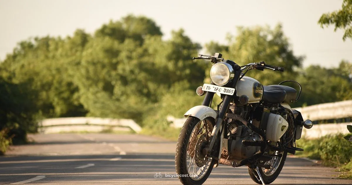 Swift Bike Guide - BicycleCost