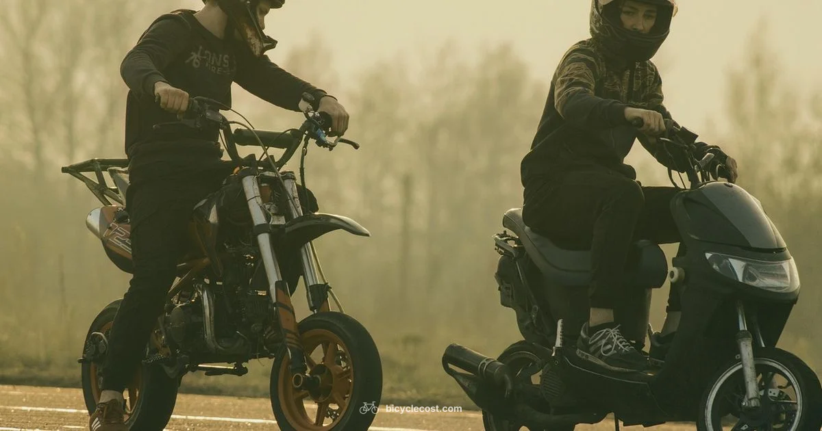 Helmet Law Basics - BicycleCost