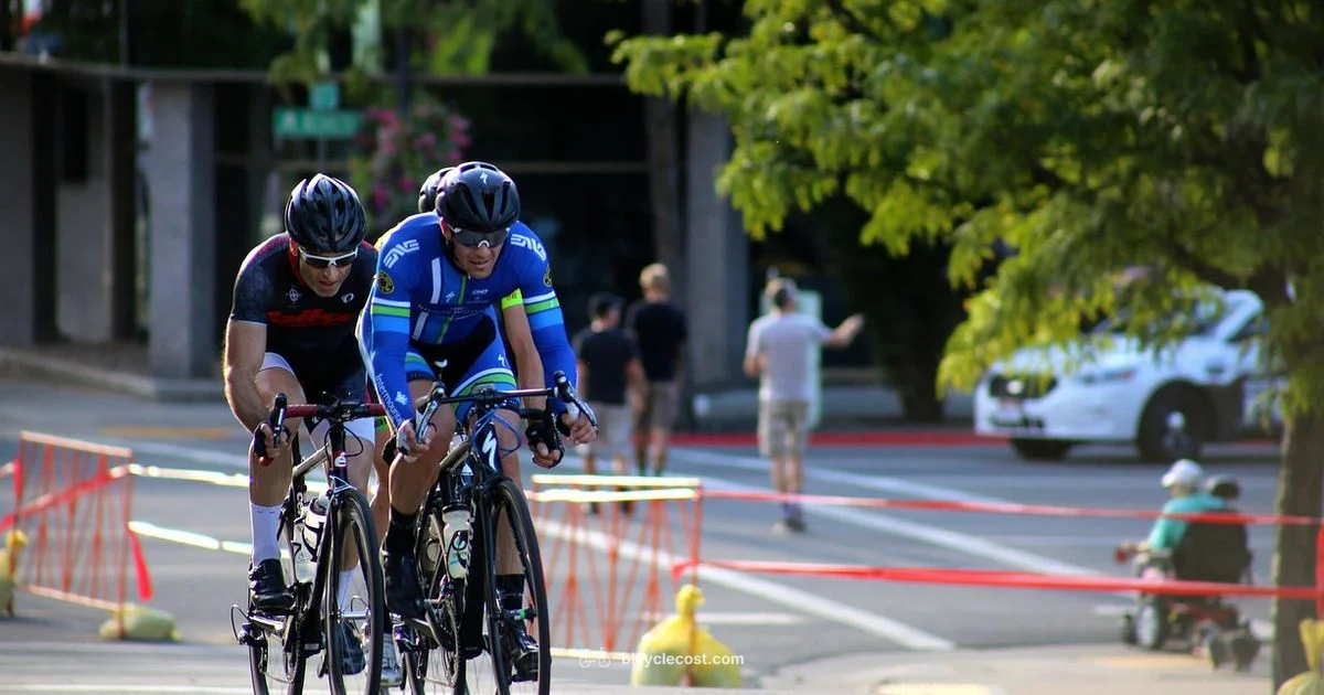 Balance Mechanics - BicycleCost