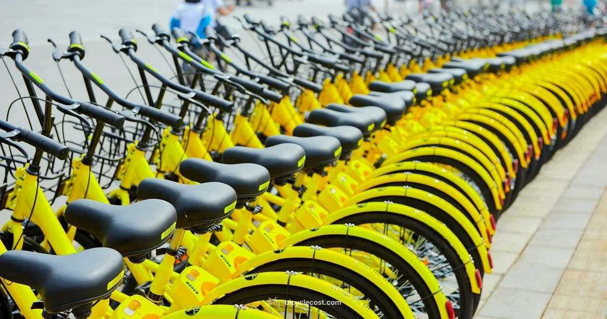 Rent a Bicycle Guide - BicycleCost