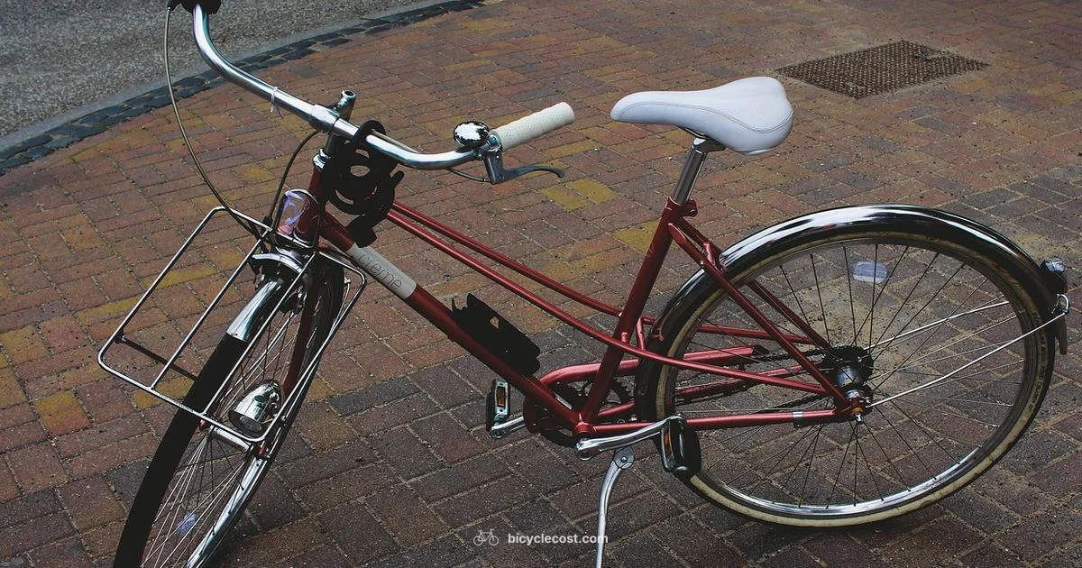 Bike Wheels Guide - BicycleCost