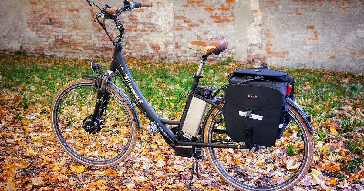 Start Without Battery - BicycleCost