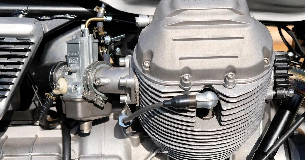 80cc Bike Kit Guide - BicycleCost