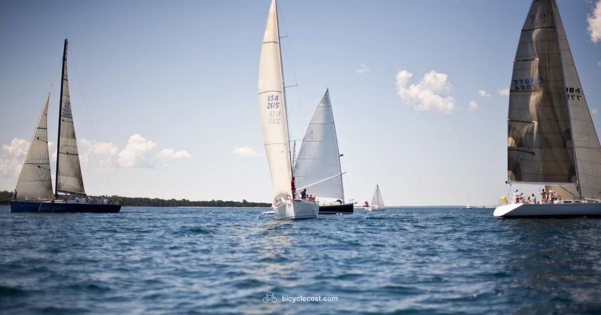 Mackinac Island Rentals - BicycleCost