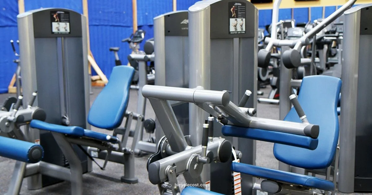 Gym Bike Guide - BicycleCost