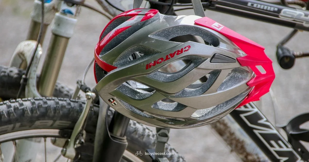 Bicycle Theft Prevention - BicycleCost