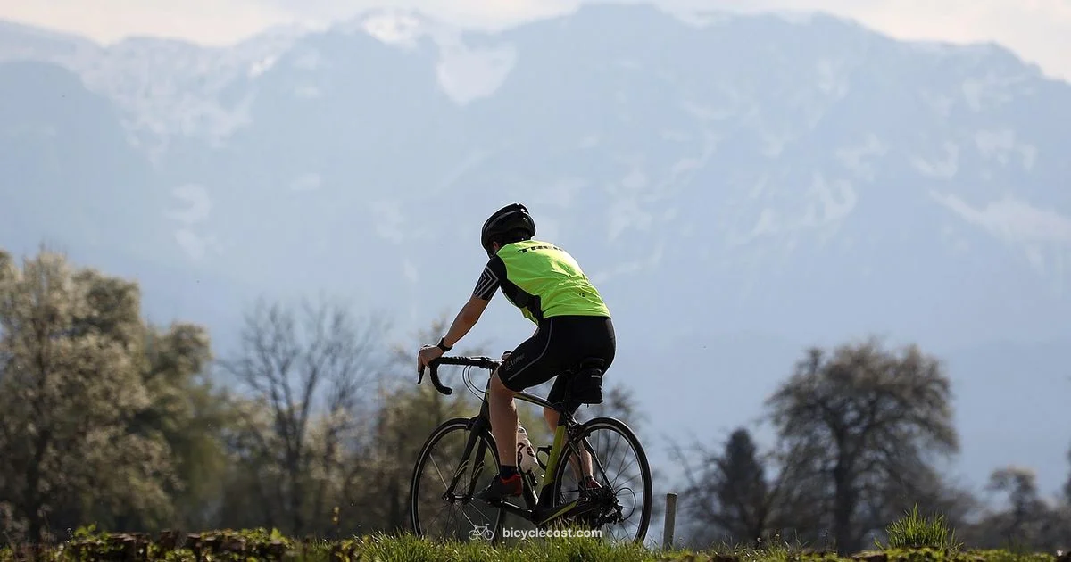 Boulder Shop Guide - BicycleCost