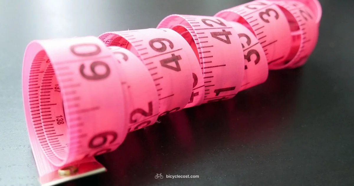 Bike Sizing - BicycleCost