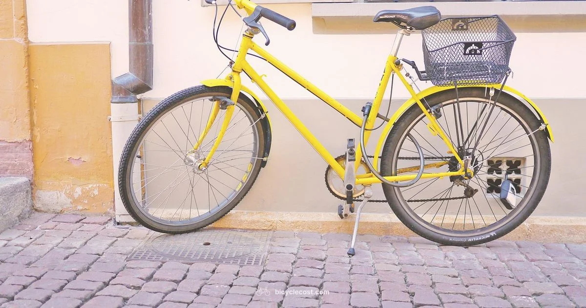 Bike Basket Guide - BicycleCost