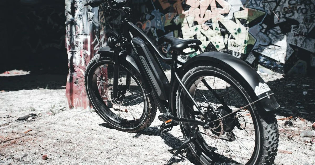 1000W E-Bike Guide - BicycleCost