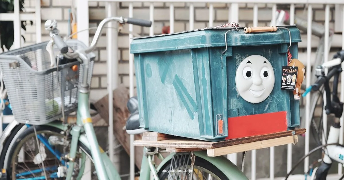 Rear Basket Guide - BicycleCost