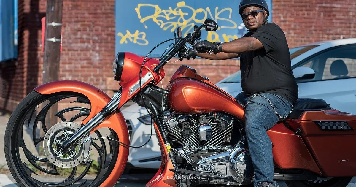 Harley E Bike Guide - BicycleCost