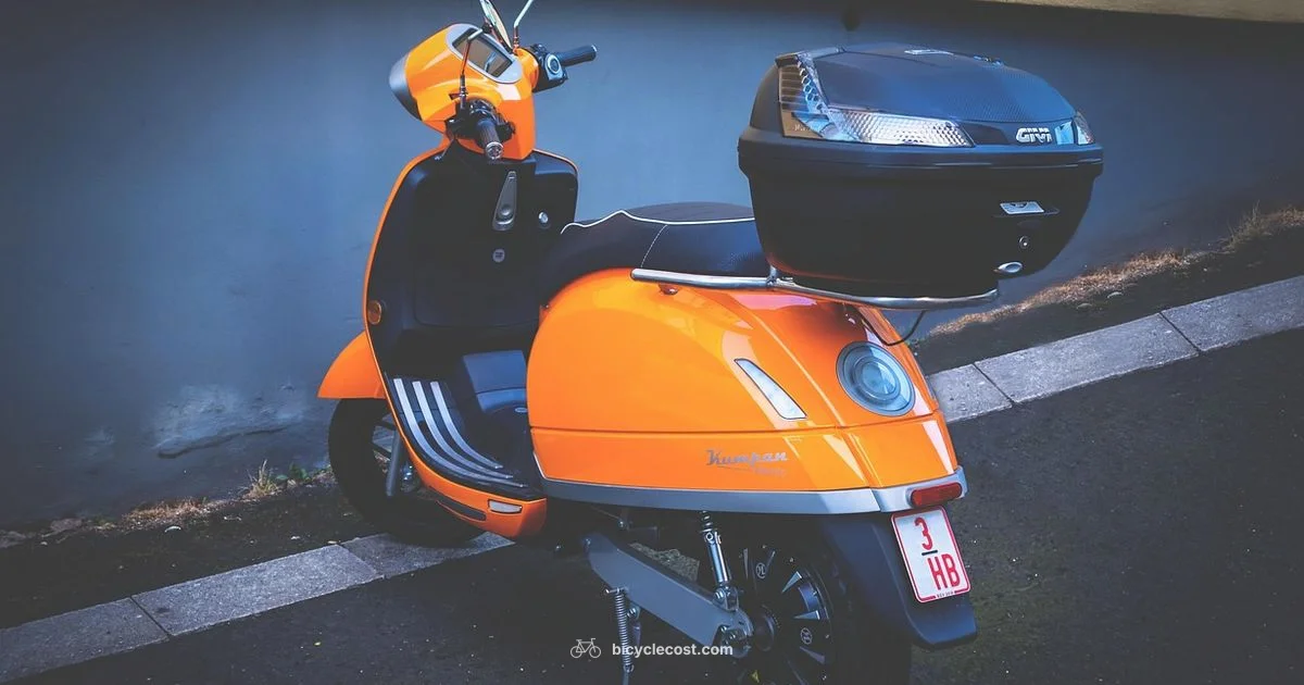 Best Bike Alternatives - BicycleCost