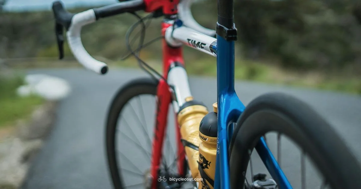 Frame Sizing Guide - BicycleCost