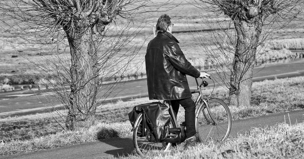 Padded Shorts Guide - BicycleCost