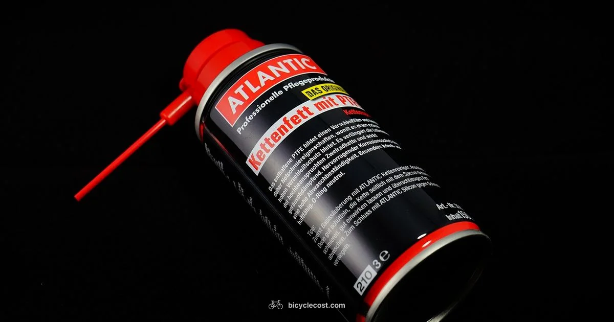 Chain Lubrication Guide - BicycleCost