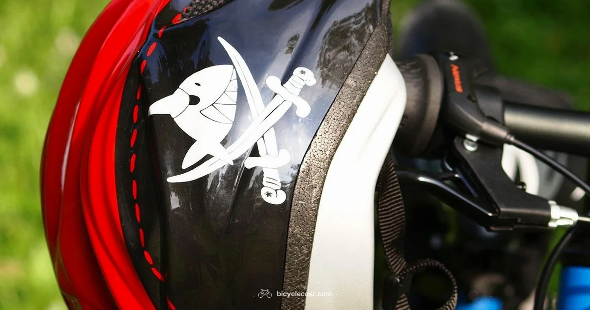 Helmet Fit Guide - BicycleCost