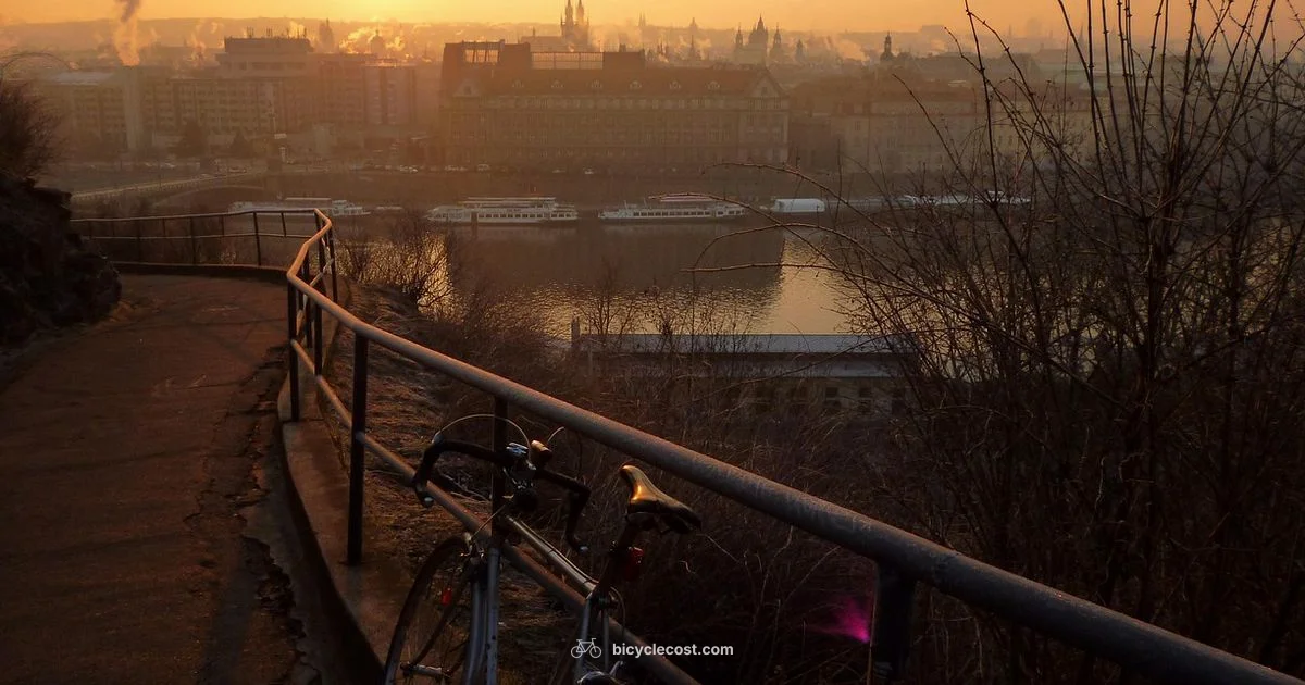 Compact Folding Bike Guide - BicycleCost