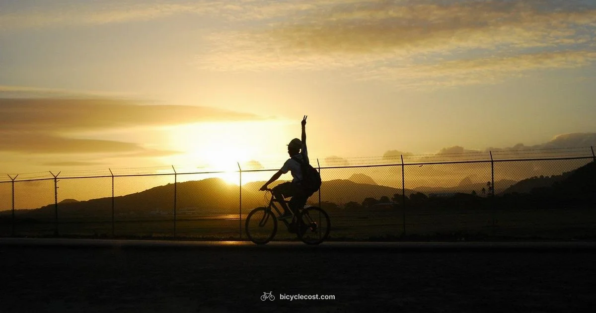 Bicycle Spanish - BicycleCost