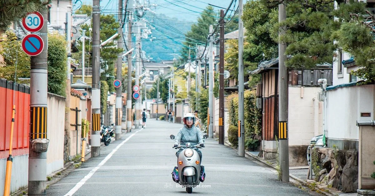 Electric Bicycle Guide - BicycleCost