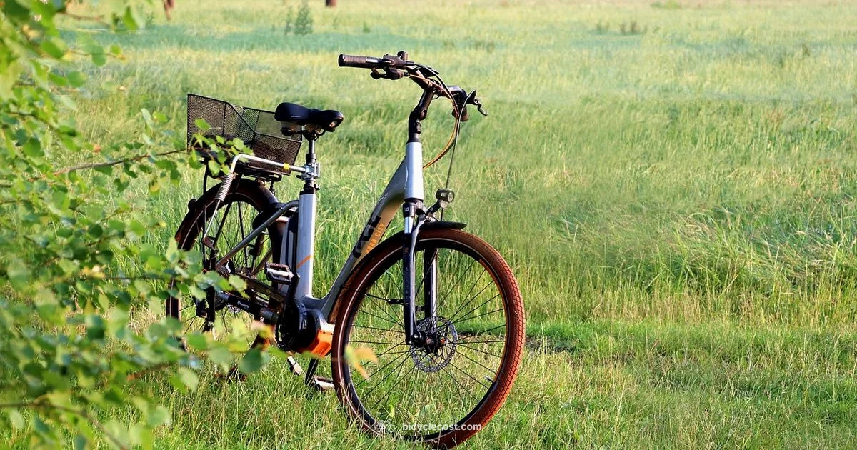 Electric Bike Costs Electric Bike Costs - BicycleCost