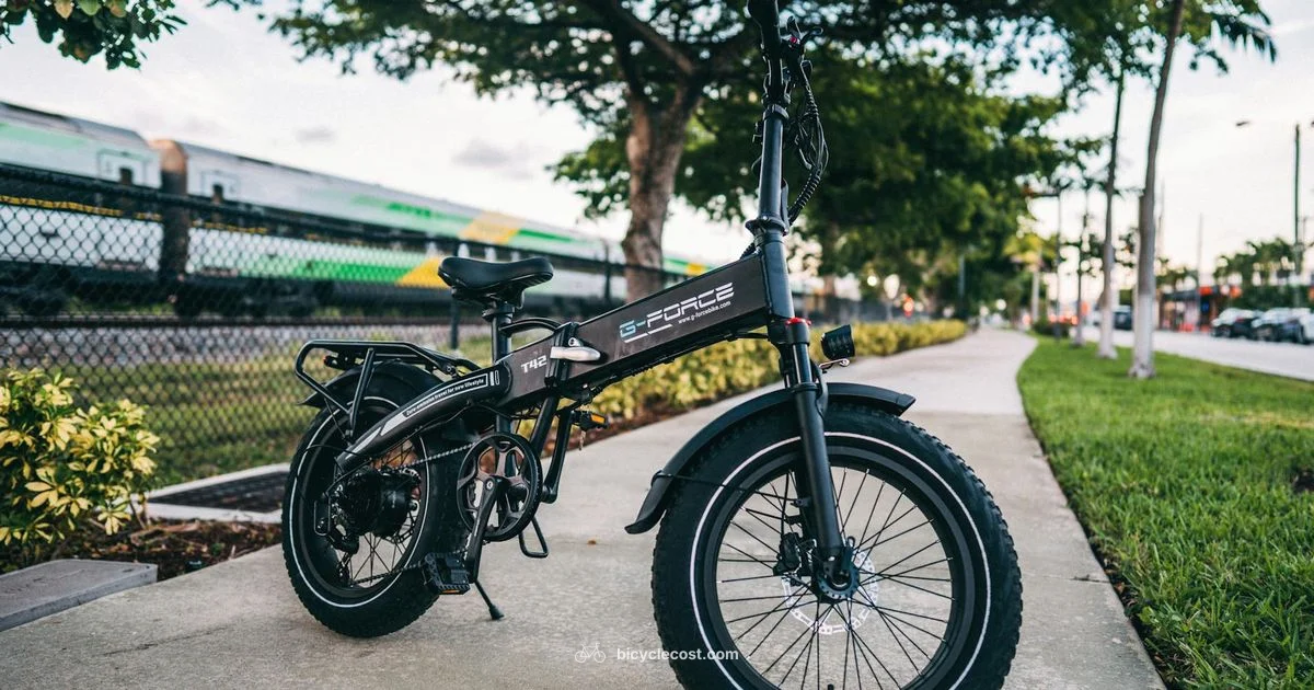 Foldable E Bike Guide Foldable E Bike Guide - BicycleCost