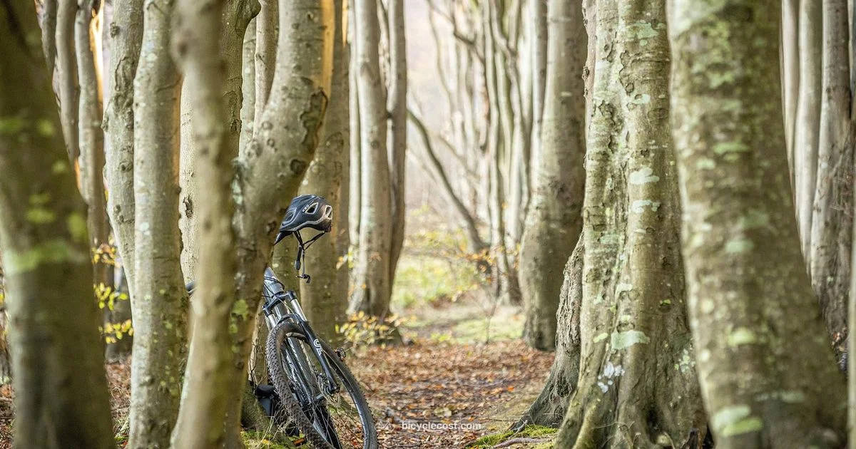 Mountain Cycle Guide - BicycleCost