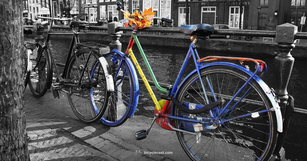 Local Bicycle Shops - BicycleCost