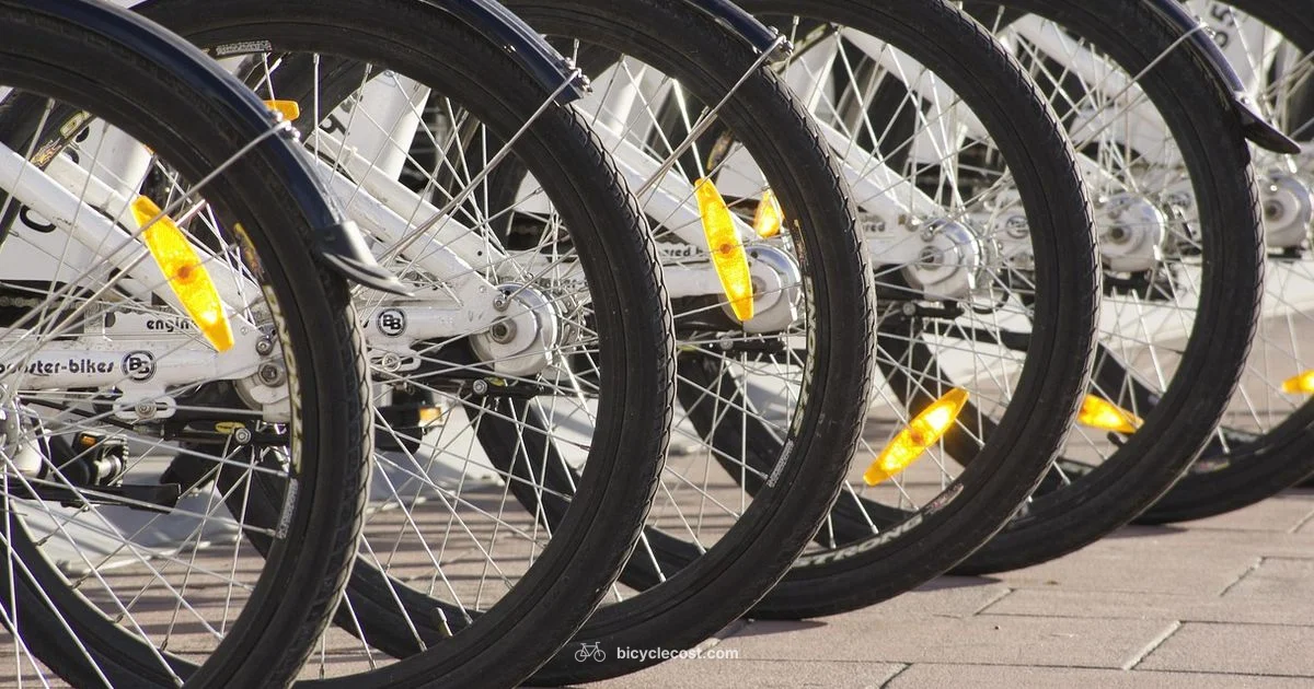 Electric Pedal Assist - BicycleCost