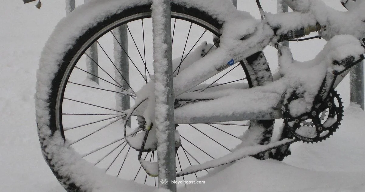 Snow Bicycle Guide - BicycleCost