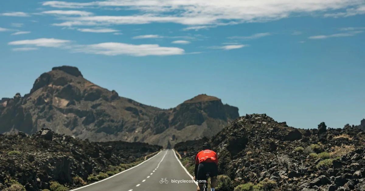 Top Men's Bicycles - BicycleCost