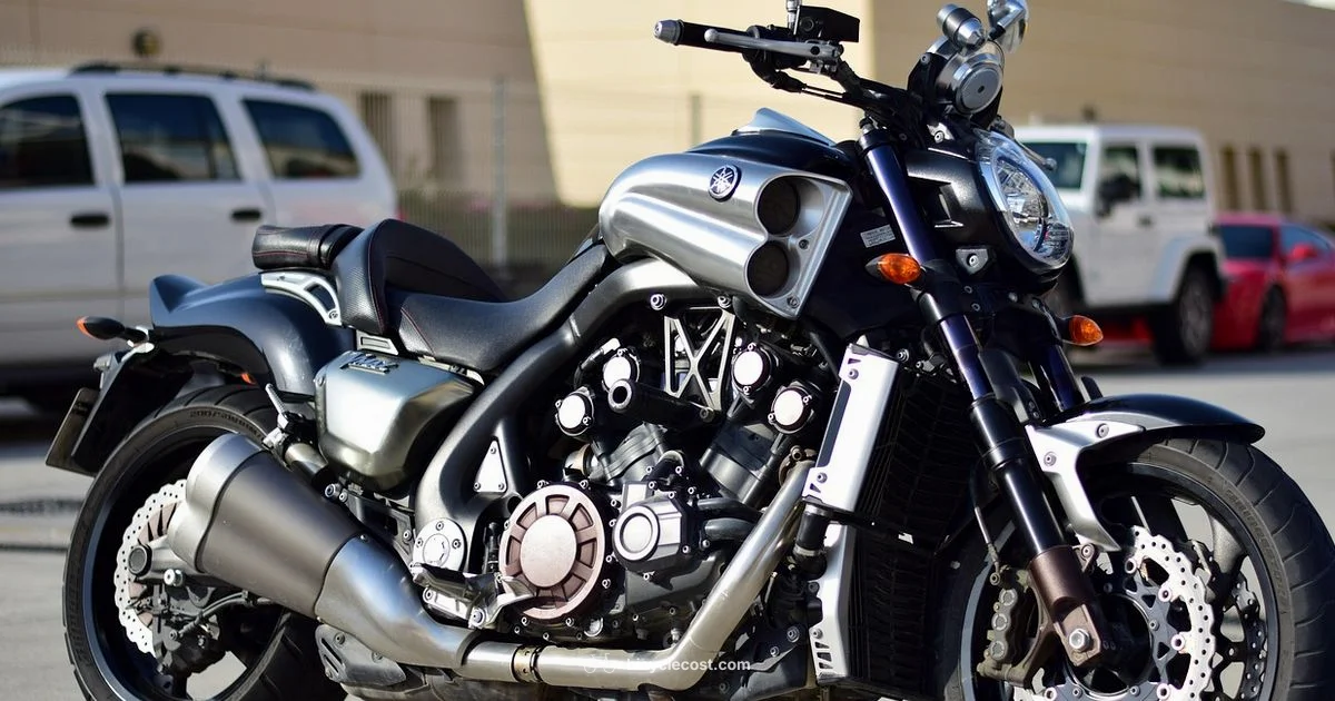 Stingray Chopper Review - BicycleCost